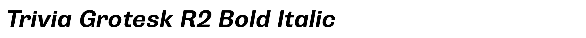 Trivia Grotesk R2 Bold Italic image
